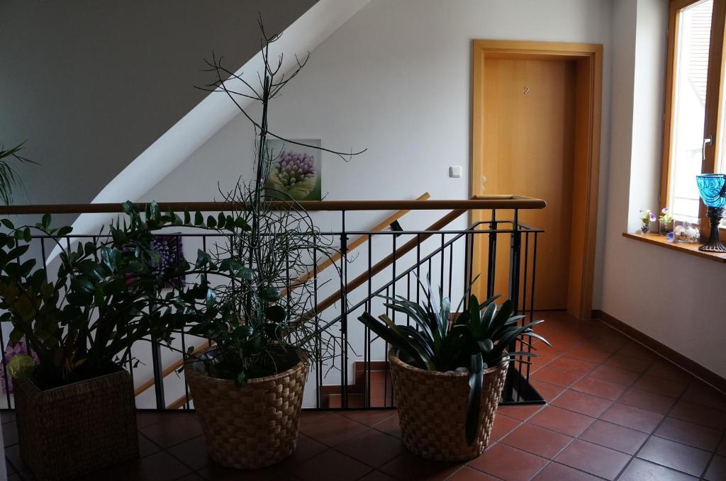 Gasthof Zur Post Neunkirchen am Brand Εξωτερικό φωτογραφία